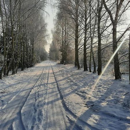 Domek Caloroczny Nad Jeziorem Budzislawskim, Wielkopolska Na Wynajem Anastazewo Esterno foto