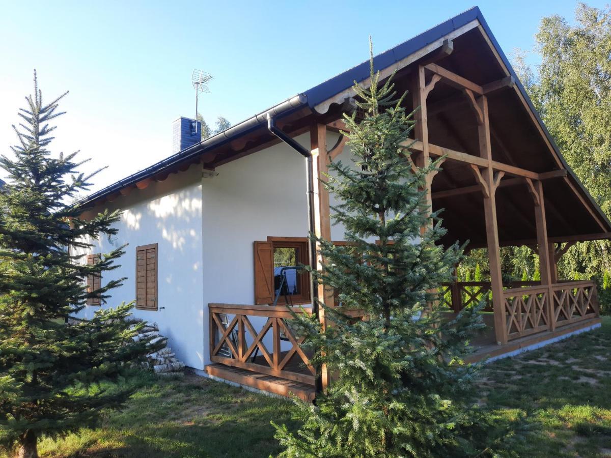 Domek Caloroczny Nad Jeziorem Budzislawskim, Wielkopolska Na Wynajem Anastazewo Esterno foto