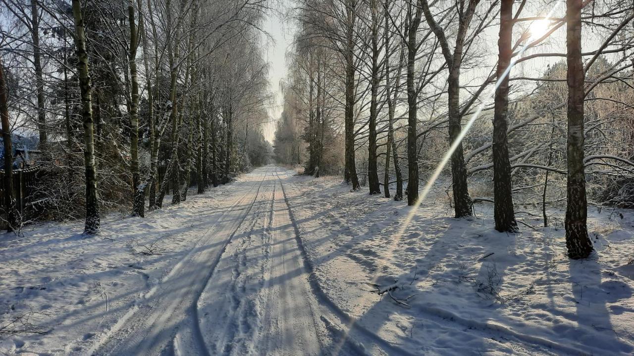 Domek Caloroczny Nad Jeziorem Budzislawskim, Wielkopolska Na Wynajem Anastazewo Esterno foto