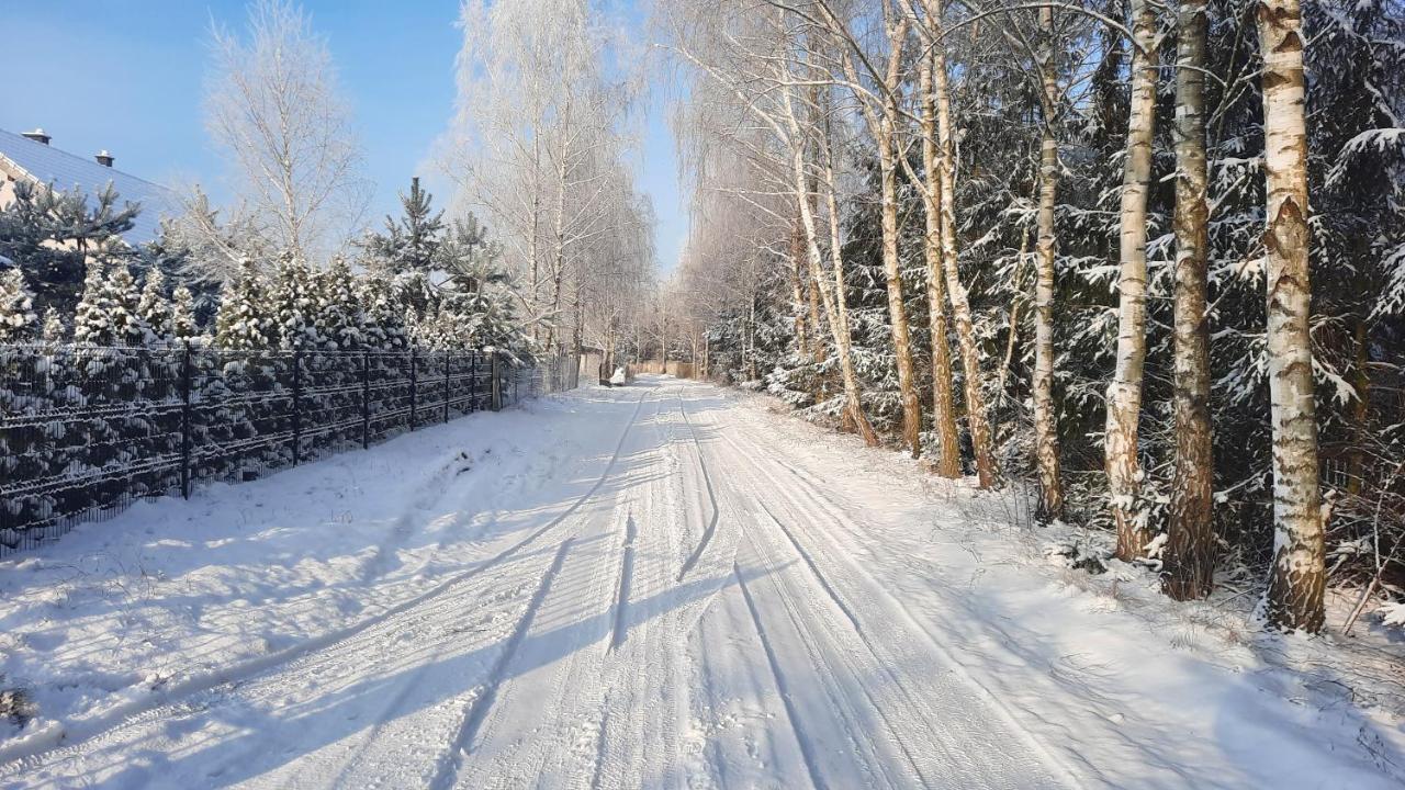 Domek Caloroczny Nad Jeziorem Budzislawskim, Wielkopolska Na Wynajem Anastazewo Esterno foto